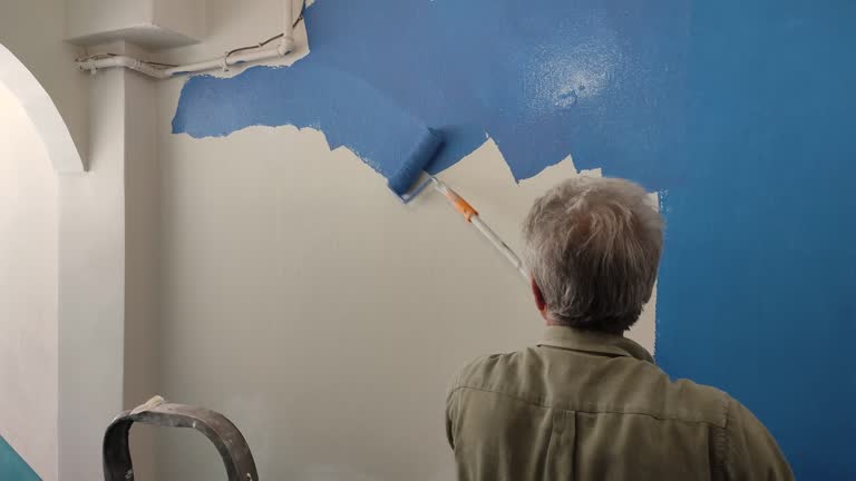 Best Drywall Removal and Disposal  in Adams, WI